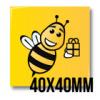 40x40mm