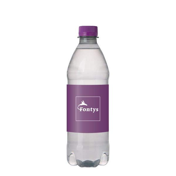waterflesje 500ml met paarse dop