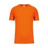 Fluoriserend oranje