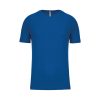 Koninklijk Blauw