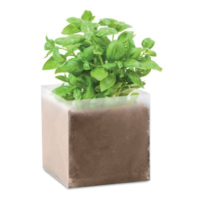 Basilicumplantje Bedrukken