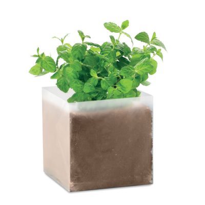 Muntplantje Bedrukken