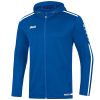 Koninklijk Blauw