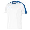 Wit-Blauw