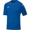 Koninklijk Blauw