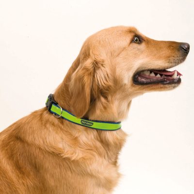 Fluoriserende Halsband Bedrukken