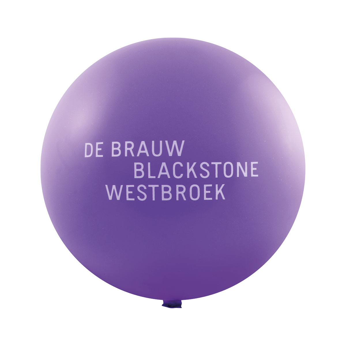 Mega ballonnen bedrukken Ø 150cm – foto 7