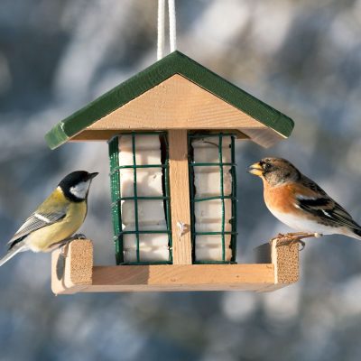 Voederhuisje Vogelbescherming bedrukken