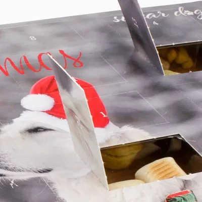 Adventkalender bedrukken om zelf te vullen met 24 grote vakjes