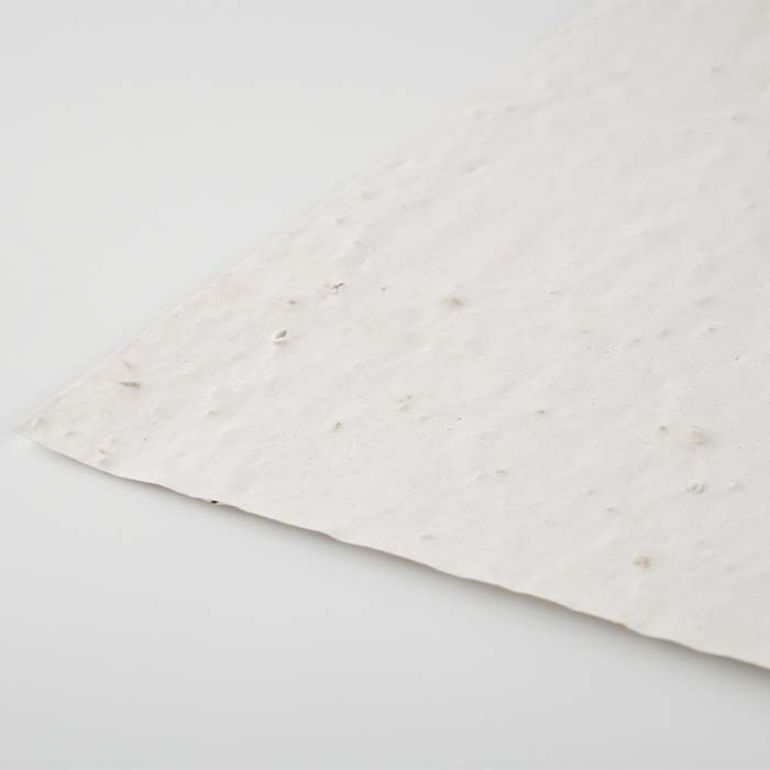 Groei papier bedrukken – A5 formaat